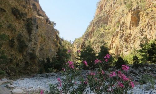 Zdjecie GRECJA / Kreta / Kreta Zachodnia / wwz Samaria