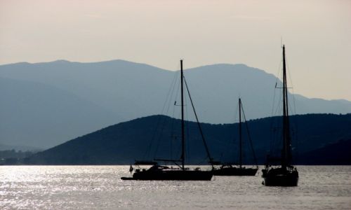 Zdjęcie GRECJA / Morze Egejskie / Egina / pod słońce