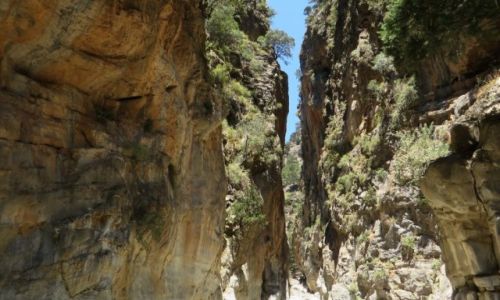 Zdjcie GRECJA / Kreta / Kreta Zachodnia / wwz Samaria