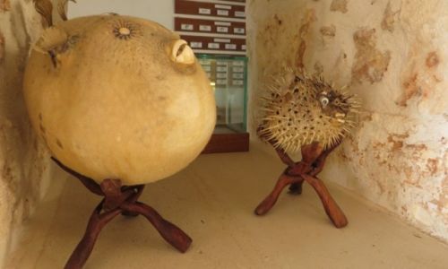 Zdjcie GRECJA / Kreta / Chania / Muzeum Morskie