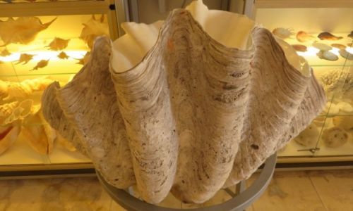 Zdjcie GRECJA / Kreta / Chania / Muzeum Morskie