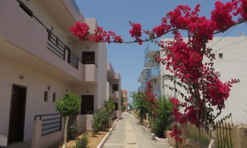 Zdjcie GRECJA / Kreta / okolice Heraklionu / obrazek z Amoudary