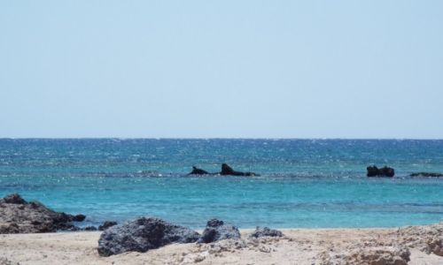 Zdjecie GRECJA / Kreta / Elefonissi / skalne delfiny