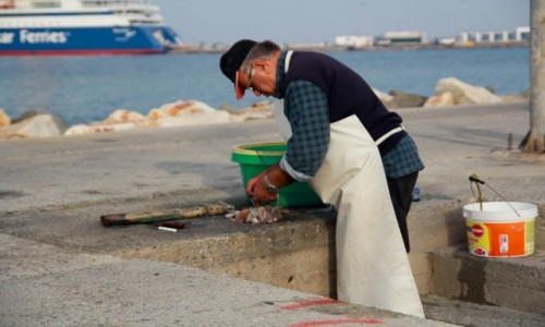 Zdjecie GRECJA / Cyklady / Naxos / Naxos