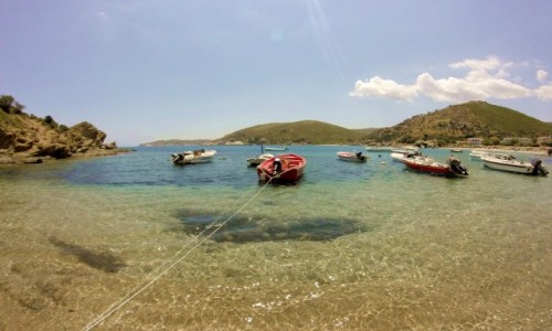 Zdjecie GRECJA / EUBEA / ERETRIA / wakacje