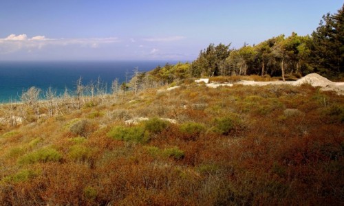 Zdjecie GRECJA / Rodos / wzgrze Filerimos, / Miejscem, ktrego nie sposb pomin 