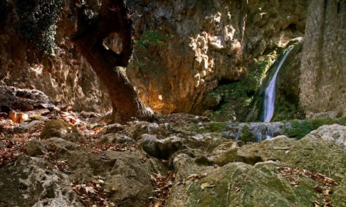 Zdjcie GRECJA / Rodos / Dolina motyli / W dolinie motyli