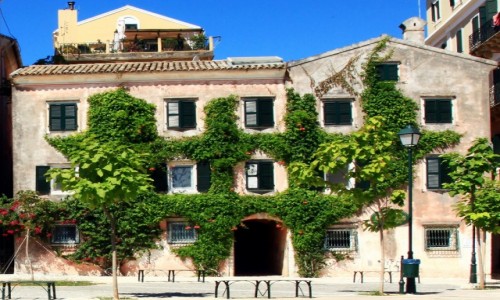 Zdjęcie GRECJA / Korfu / Okolice Starej Fortecy  / W zieleni