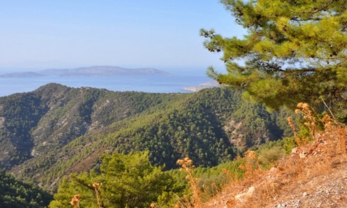 Zdjecie GRECJA / Rodos / zachodnie wybrzee / Widok