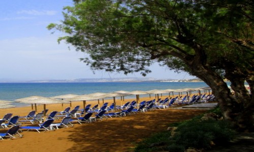 Zdjcie GRECJA / Kreta / Agia Marina / Czekamy na turystw- strona prawa