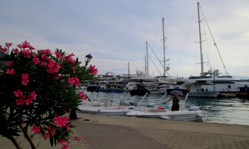 Zdjcie GRECJA / Lefkada / Nidri / A kuku robi latarnia