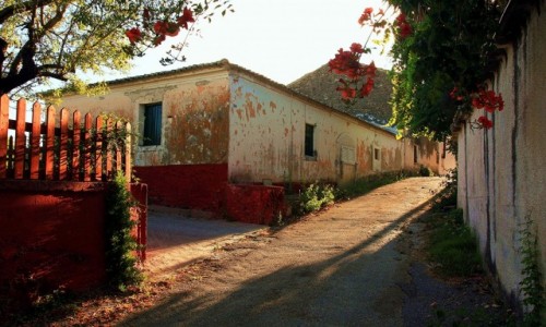 Zdjęcie GRECJA / Korfu / Peroulades  / Słoneczna uliczka