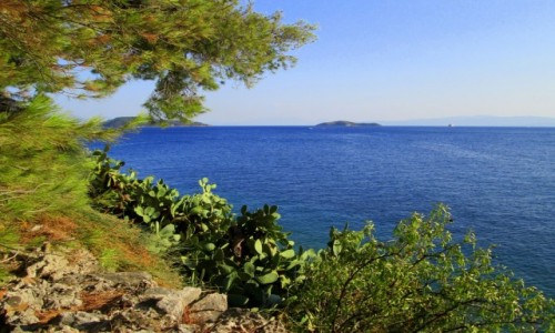 Zdjęcie GRECJA / Skiathos / okolice Skiathos City / Wyspa z widokiem na wyspy