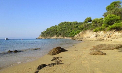 Zdjęcie GRECJA / Skiathos / Kukunaries / Dzika zatoczka koło Kukunaries