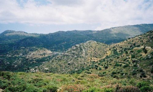 Zdjecie GRECJA / brak / Okolice Kalamafki / Kreta