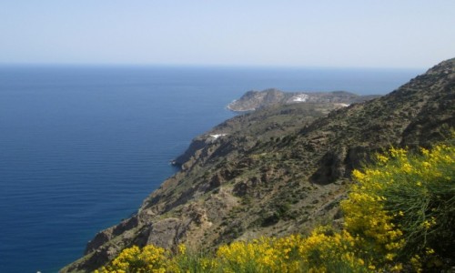Zdjcie GRECJA / Kreta Wschodnia / okolice Agios Nikolaos / arnowiec na zboczach