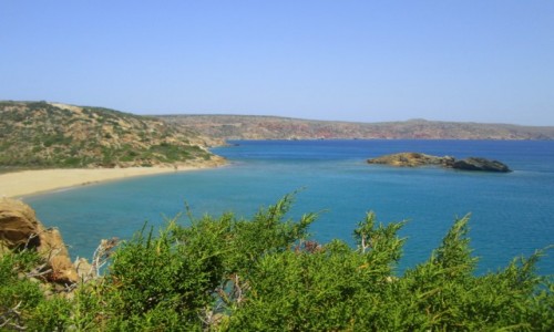 Zdjcie GRECJA / Kreta Wschodnia / Vai / Vai Bay 