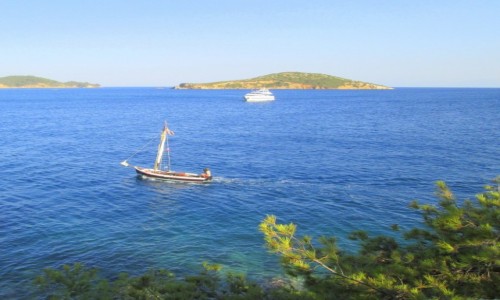 Zdjęcie GRECJA / Skiathos / okolice Skiathos Town / Ahoj!