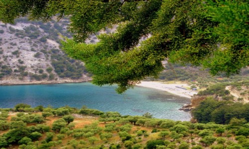 Zdjecie GRECJA / Thassos / okolice Aliki / Szmaragdowa zatoczka