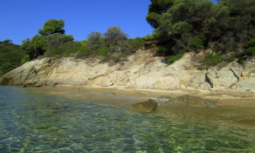 Zdjęcie GRECJA / Skiathos / Kukunaries / Zanurzyć się w takiej wodzie