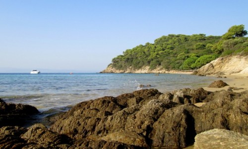Zdjcie GRECJA / Sporady Pnocne / Skiathos - okolice Koukounaries / Skaki na ulubionej play