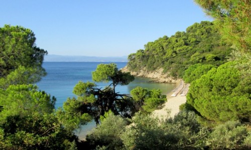 Zdjcie GRECJA / Sporady Pnocne / Skiathos - okolice Koukounaries / ~Plaa Xenia
