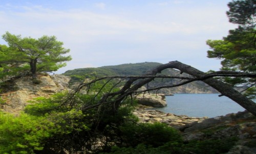 Zdjecie GRECJA / Epir / Parga / Dziko