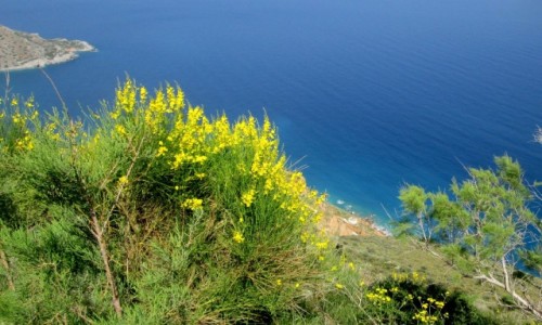 Zdjecie GRECJA / Kreta Wschodnia / okolice Sitii / Z wysokiego klifu