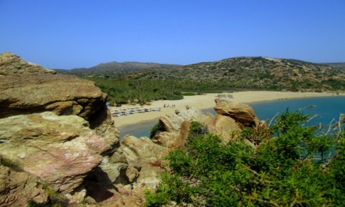 Zdjecie GRECJA / Kreta Wschodnia / Vai / Plaa i to nie dzika