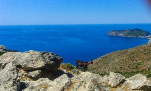 Zdjecie GRECJA / Kefalonia  / Kefalonia  / Kefalonia