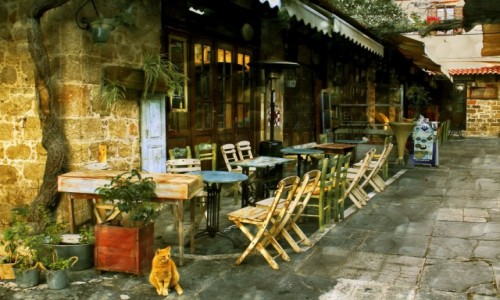 Zdjecie GRECJA / Rodos / Rodos / W oczekiwaniu na...