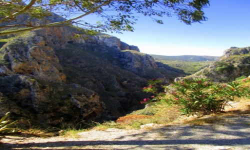 Zdjcie GRECJA / Kreta Zachodnia / Topolia / * Wwz Topolia