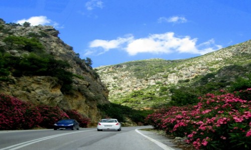 Zdjecie GRECJA / Kreta / w drodze do Elafonisi / * W drog