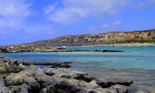 Zdjcie GRECJA / Kreta / Elafonisi / * Odcienie bkitu