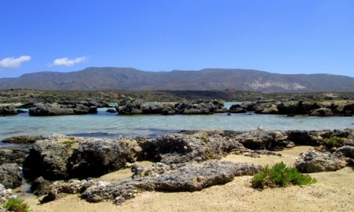 Zdjcie GRECJA / Kreta / Elafonisi / Skaki