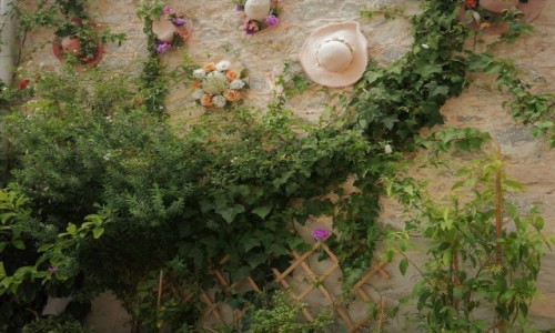 Zdjecie GRECJA / Peloponez / Nafplion / Fasada domu