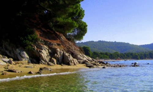 Zdjecie GRECJA / Sporady Pnocne / Skiathos - okolice Koukounaries / ~Spokj w okolicy harmidru