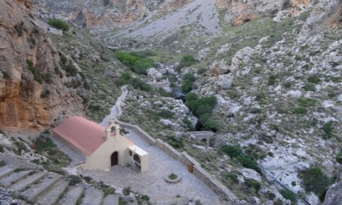 Zdjecie GRECJA / Kreta / Wwz Kurtaliotis / W wwozie Kurtaliotis