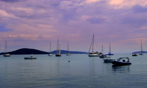 Zdjecie GRECJA / Sporady Pnocne / Skiathos  / W oczekiwaniu