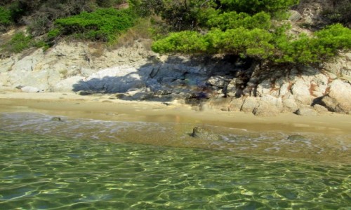 Zdjecie GRECJA / Sporady Pnocne / Skiathos  / Nad wod czyst przejrzyst