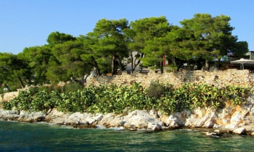 Zdjcie GRECJA / Sporady Pnocne / Skiathos / Opuncjowy brzeg