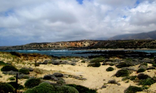 Zdjcie GRECJA / Kreta / Elafonissi / Widok z wyspy danieli