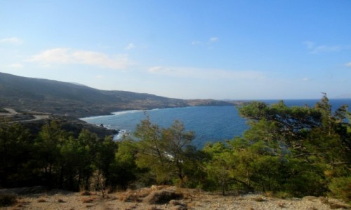 Zdjcie GRECJA / Karpathos / W drodze do Olympos / Ziele i bkit