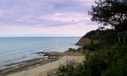 Zdjcie GRECJA / Thassos / okolice Limenarii / Dzika plaa