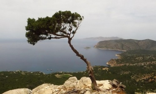 Zdjecie GRECJA / Archipelag Dodekanez / Wyspa Rodos / Monolithos widok z zamku Joanitw