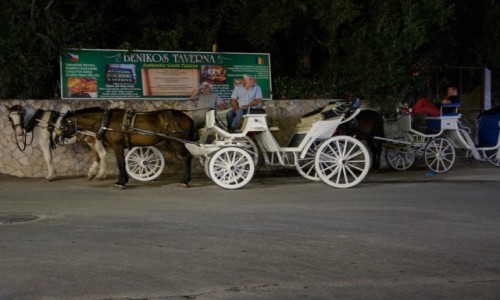 Zdjęcie GRECJA / Wyspy Jońskie - Zakynthos / Tsilivi / oczekiwanie na