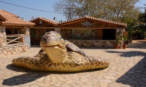 Zdj�cie GRECJA / Wyspy Jo�skie - Zakynthos / Gerakas / o�rodek ratowania ��wi morskich