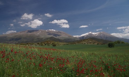 Zdjęcie GRECJA / Grecja / Gdzieś w okolicach masywu Olimpu / Ulepszona tapeta z Windows XP ;)
