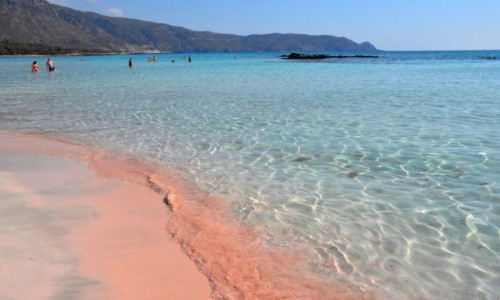 Zdjecie GRECJA / Kreta / Laguna Elafonisi / Plaa z rowym piaskiem