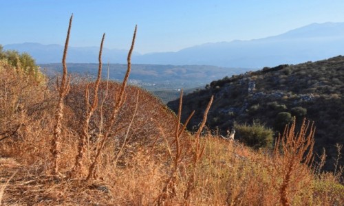 Zdjcie GRECJA / Kreta / okolice Aptery / Widok z okolic Aptery